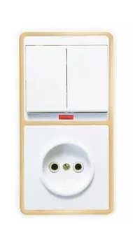 Блок БКВР-213 Бэлла (2-кл. выкл. с инд. + розетка) зол. Кунцево 5830