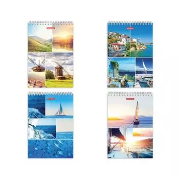 Блокнот, А4, 80 листов, гребень, жесткая подложка, клетка, BRAUBERG Романтика, 200х285 мм, 129806, (4 шт.)