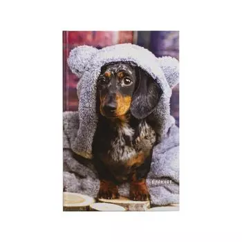 Блокнот А5 (135х206 мм), 80 л., твердый, клетка, STAFF, "Милый пёс", 111600 (5 шт.)