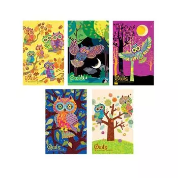 Блокнот А5 40л., гребень, ламинированный картон, клетка, Альт, Совы, (5 видов), 3-40-024 (25 шт.)