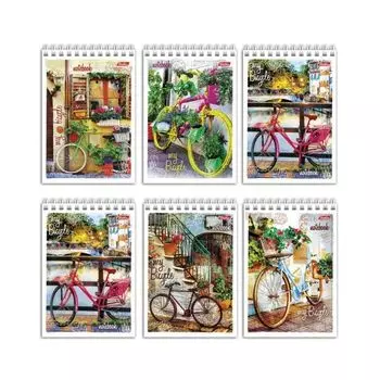 Блокнот А6, 80 л., гребень, обложка мелованный картон, HATBER, Лето на велосипеде, 105х140 мм, 80Б6Вгр, B204672, (20 шт.)