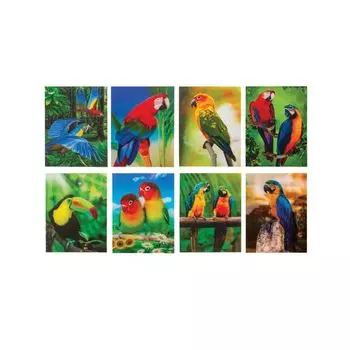 Блокнот А7, 40 л., склейка, пластиковая 3D-обложка, BRAUBERG, Попугаи, 8 видов в дисплее, 64х82 мм, 128089, (40 шт.)