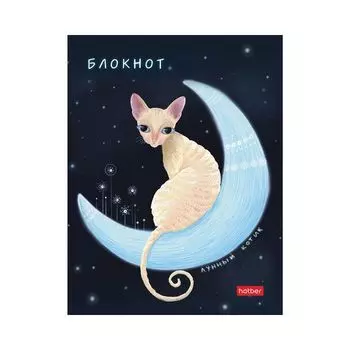 Блокнот МАЛЫЙ ФОРМАТ А6 (105х145 мм) 80 л., твердый, клетка, HATBER, Лунный кот, 80ББ6В1_23809 (16 шт.)