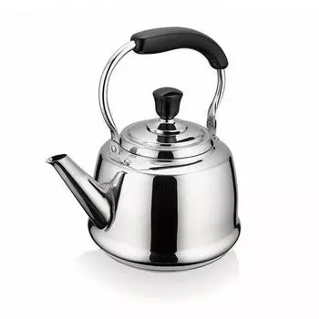 Чайник CLAUDETTE 4л