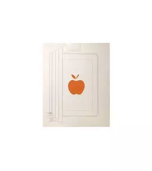 Чехол Griffin CaseCover Stand для iPad 2/3 Orange