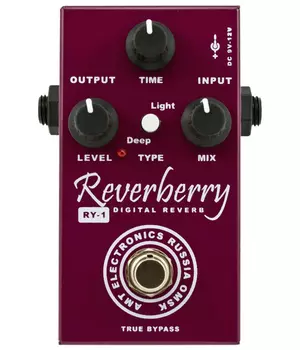 Цифровой ревербератор AMT Electronics RY-1 Reverberry