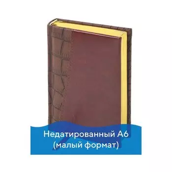 Ежедневник BRAUBERG недатированный, А6, 100х150 мм, Cayman, комбинированная кожа, 160 л., кор./тем.-кор., крем. блок, зол. срез, 125103