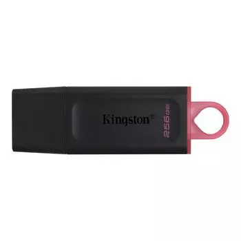 Флешка Kingston 256Gb DataTraveler Exodia (DTX/256GB) USB3.1 черный/красный