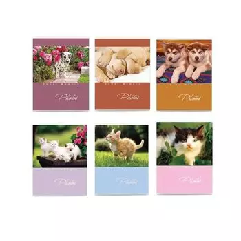 Фотоальбом BRAUBERG на 36 фото 10х15 см, мягкая обложка, Котята/Щенки, ассорти, 390650, (12 шт.)