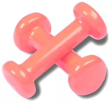 Гантели обливные с виниловым покрытием INDIGO, 92005 IR, Розовый, 1,0кг*2шт