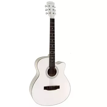 Гитара акустическая Elitaro E4020 WH белый