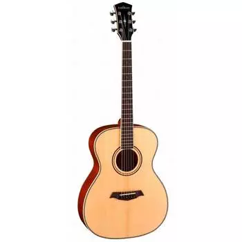 Гитара акустическая Parkwood P620 с футляром