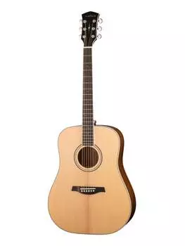 Гитара акустическая Parkwood S61 дредноут с чехлом