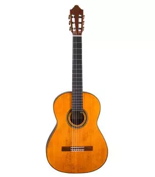 Гитара классическая Martinez DF69-Retro