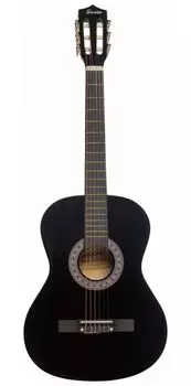 Гитара классическая TERRIS TC-BK Starter Pack