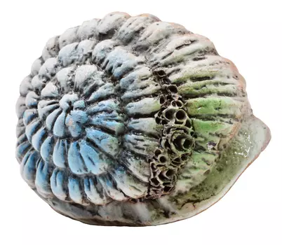 Грот Иж Раковина Ш3 14*9,5*8,5 см