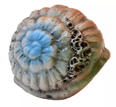 Грот Иж Раковина Ш6 9*6,5*5 см