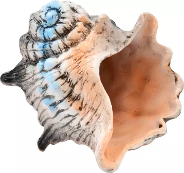 Грот Иж Раковина ШН2 12*17*13,5 см