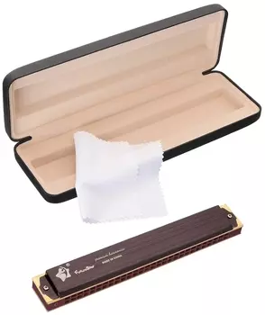 Губная гармошка Future Star FF-2816 BR