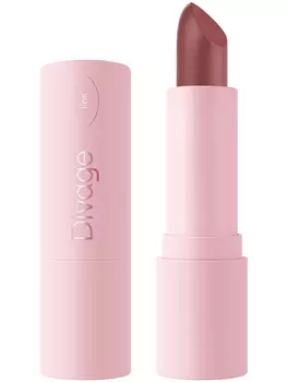 Губная Помада Divage Lipstick Praline NEW № 06