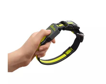 Hunter LED Ошейник Manoa Glow M (50-55)/2,5 оранжевый