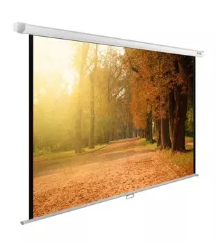 Экран настенно-потолочный Cactus WallExpert CS-PSWE-200X125-WT