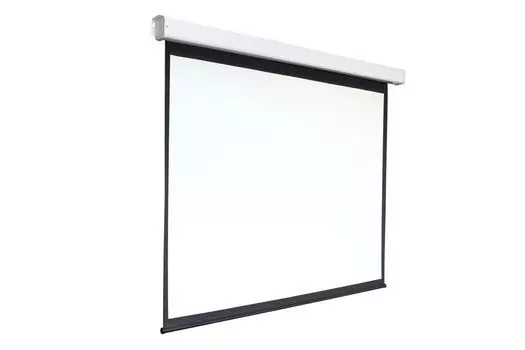 Экран настенно-потолочный Digis Electra-F DSEF-4305 220x300
