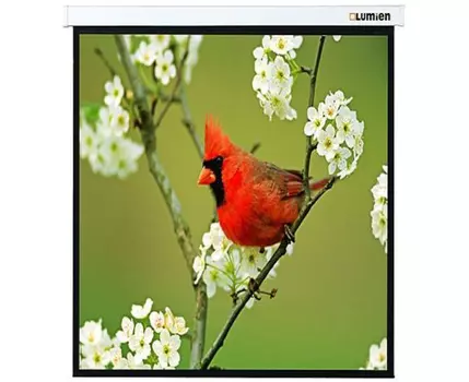 Экран настенно-потолочный Lumien Master Picture LMP-100129 220x220
