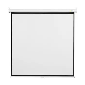 Экран настенный Digis DSOB-1102 160x160