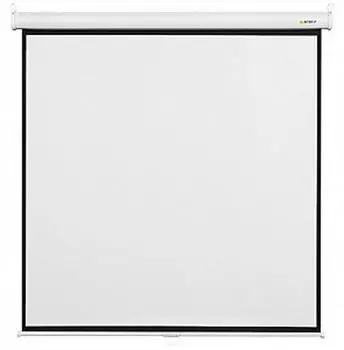 Экран настенный Digis DSOB-1106 240x240