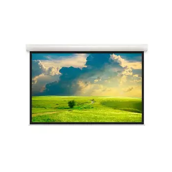 Экран настенный Projecta 10103517 280x162