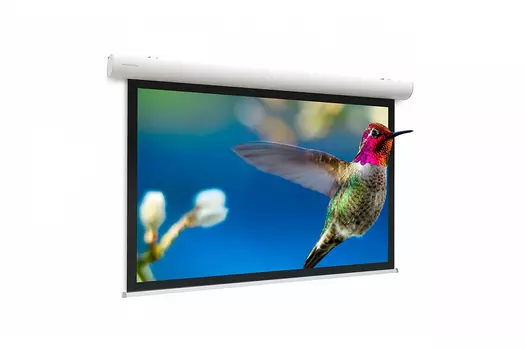 Экран настенный Projecta 10103541 191х300