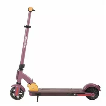 Электросамокат Accesstyle Panda 13S