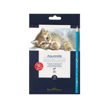 Карандаши цветные акварельные BRUNO VISCONTI Aquarelle, 36 цветов, европодвес, 30-0049