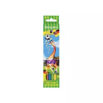 Карандаши цветные BRAUBERG Football match, 6 цветов, заточенные, картонная упаковка, 180521, (12 шт.)