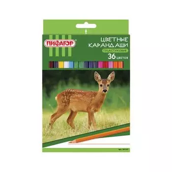 Карандаши цветные ПИФАГОР ЛЕСНЫЕ ЖИТЕЛИ, 36 цветов, пластиковые, классические заточенные, 181337