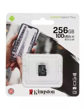 Карта памяти Kingston microSDXC Canvas Select Plus Class 10 256Gb (SDCS2/256GBSP)