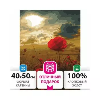 Картина по номерам 40х50 см, ОСТРОВ СОКРОВИЩ "Маковое поле", на подрамнике, акриловые краски, 3 кисти, 662493