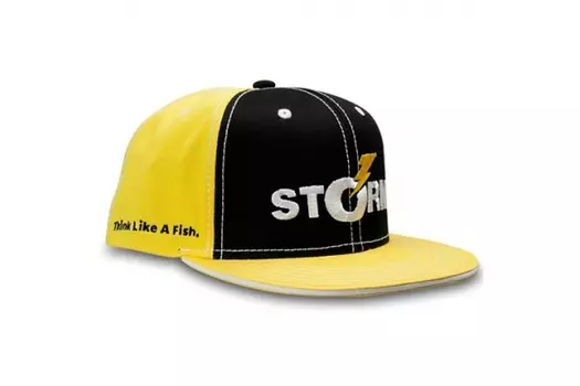 Кепка Storm Snapback (M4ST0160ONE)