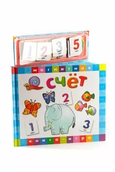 Книга НОВЫЙ ФОРМАТ 80240 Счет