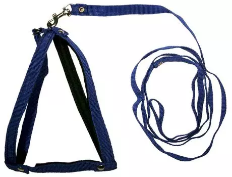Комплект для кошек 1001С поводок + шлейка капроновый с фетром синий до 45 см
