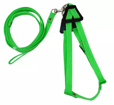 Комплект для кошек 1004З поводок + шлейка капроновый с фастексом зеленый до 45 см