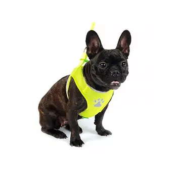 Комплект Триол мягкая шлейка-жилетка и поводок(15*1200мм ), неоново-желтый со светоотр.