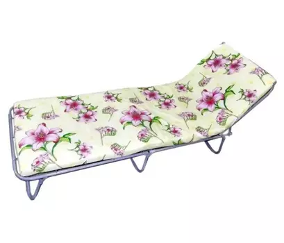 Кровать раскладная "Стандарт-М"матрас 5 см, макс.нагр.80кг (195*65*26 см)