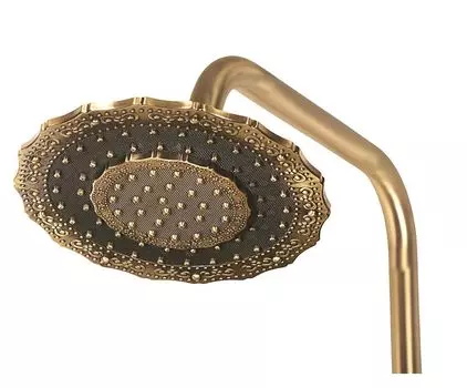 Лейка для верхнего душа Bronze de Luxe «ДВОЙНОЙ ЦВЕТОК» (1915)