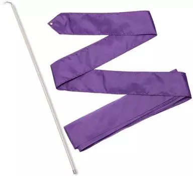 Лента гимнастическая с палочкой 50 см, СЕ4, Фиолетовый, 4,0 м