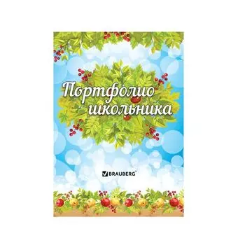 Листы-вкладыши для портфолио школьника, 14 разделов, 16 листов, Окружающий мир, BRAUBERG, 126896, (5 шт.)