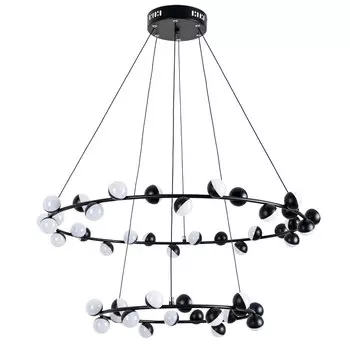 Люстра Arte Lamp Dexter A3619SP-48BK