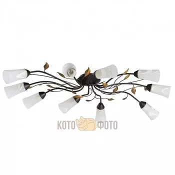 Люстра MW-Light Восторг 242015410