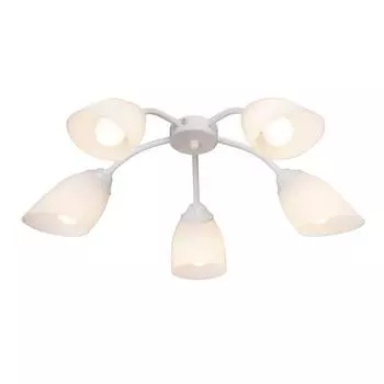 Люстра VITALUCE V3194/5PL